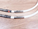 Authentic Audio  Authentic Audio Image AAI Maestoso 2 highend audio interconnects RCA 1,0 metre