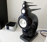 Bowers and Wilkins Nautilus