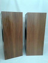 Audio Note AN-J/D Speakers