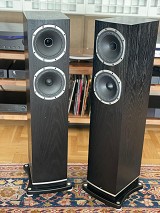 Fyne Audio f501