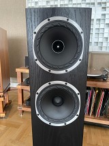 Fyne Audio f501