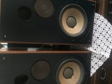 ELECTRO VOİCE EV NİDAU