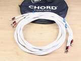 Chord Company ChordMusic