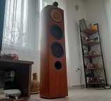 Bowers and Wilkins 804 Diamond D2