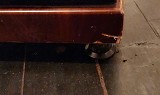 Usher Audio Be20