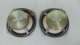 AER Acoustic BD2 Full Range Speakers Direct Lowther Replacement/Upgrade