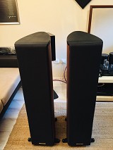 Sonus Faber  Liuto wood