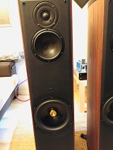 Sonus Faber  Liuto wood