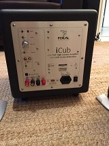 Focal  iCub