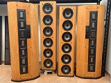 Infinity RS 1