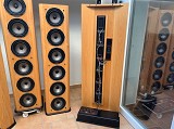 Infinity RS 1