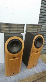 Cadence Arca Hybrid Electrostatic Speakers