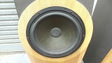 Cadence Arca Hybrid Electrostatic Speakers