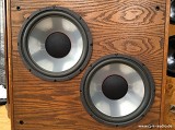 Infinity Reference Standard RS 4.5