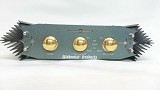 Alchemist Audio Kraken Integrated Amp Serviced