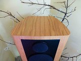 Art Audio Alnico 8 Speakers Boxed
