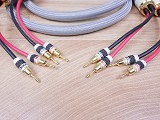 Monster cable 2.2S audio speaker cables 3,0 metre