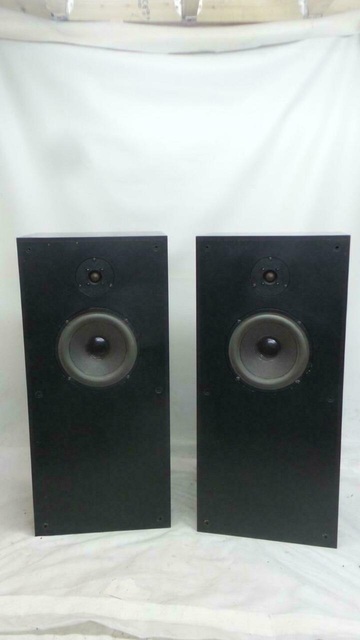 Audio Note AN/E-L Speakers with Audio Note SPX
