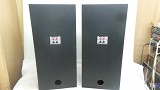 Audio Note AN/E-L Speakers with Audio Note SPX