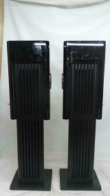 Brodmann Acoustics FS Speakers with Stands