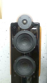 Usher Audio Compass CP-6371 Floorstanding Speakers
