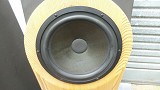 Cadence Arca Hybrid Electrostatic Speakers