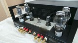 Canary Audio CA301 MK 2 300B Push Pull Valve Amp 22 Watts