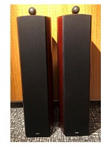 Bowers and Wilkins NAUTİLUS 803