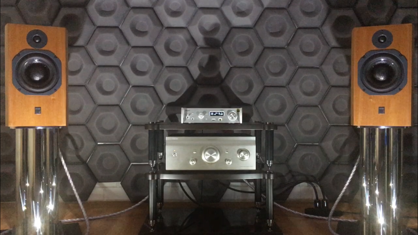 Denon PMA-SA1 Denon PMA-SA1 ( Class A )