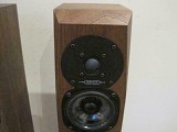 Diapason Audio Ares Excel Loudspeakers Boxed