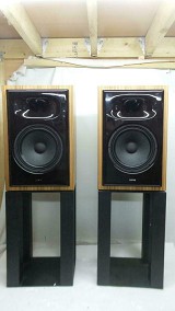 hORNS by Autotech POLAND FP10 Horn Speakers with Stands