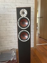 DALI Spektor 6