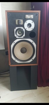 Pioneer HPM 100