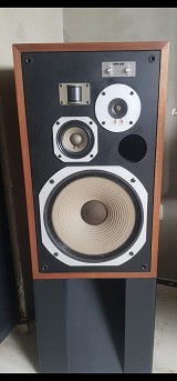 Pioneer HPM 100