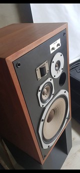 Pioneer HPM 100