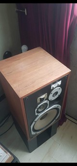 Pioneer HPM 100