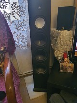 Paradigm MONITOR 11 V.7 