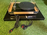 Rega Planar P25 Plattenspieler