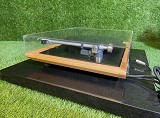 Rega Planar P25 Plattenspieler