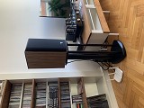 Focal Focal ARIA 906 PRiME WALNUT