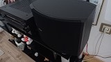 Bose BOSE 301 V series