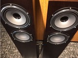 Tannoy REVOLUTION XT 6F