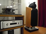 Bowers and Wilkins 800 D2