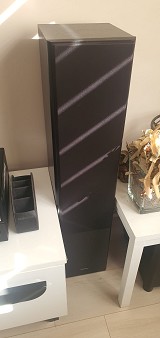 P. I. Audio Group PIONNER  VSX 520 
