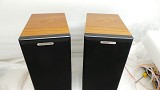 Ophidian Prophet P1 Speakers
