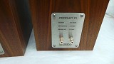 Ophidian Prophet P1 Speakers