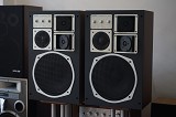 Saba PROFESSIONAL 1300