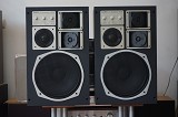 Saba PROFESSIONAL 1300