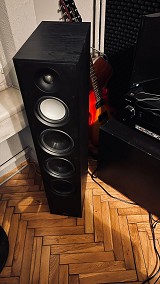 Paradigm V11