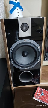 Focal chorus 807v + cc800v